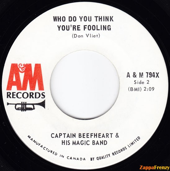 Who_Do_You_Think_You're_Fooling?